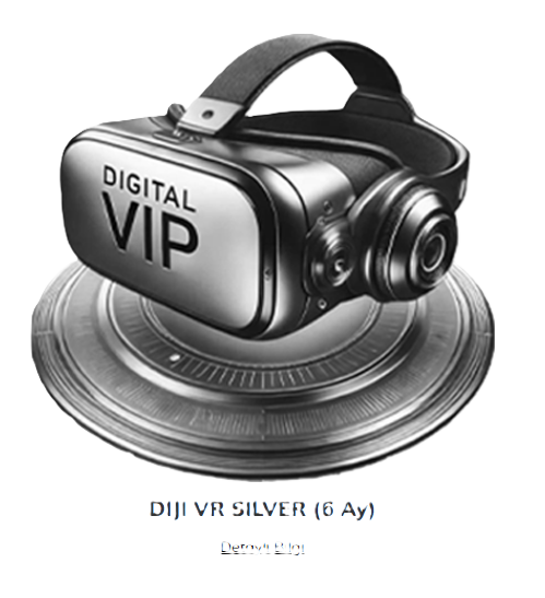 DIJI VR Silver 6 Ay